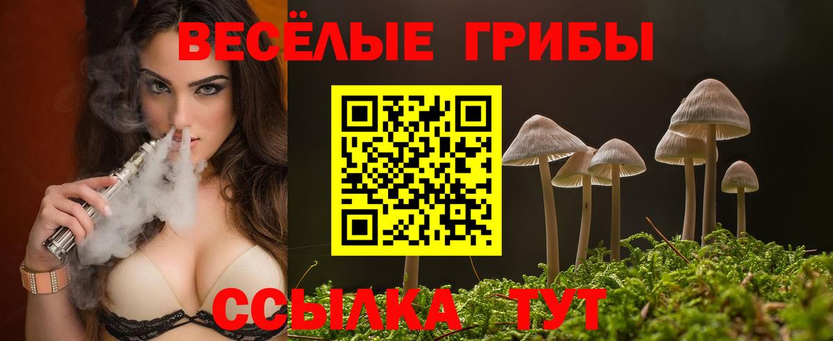 Новокубанск  Галлюциногенные грибы GOLDEN TEACHER  Вход с VPN 